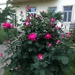 Aurelia 3* מוסטר