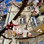 Aurelia Bed & Breakfast Mostar