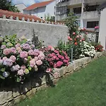 לינה וארוחת בוקר Aurelia 3*