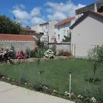 Aurelia מוסטר