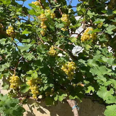 Bed & Breakfast Aurelia