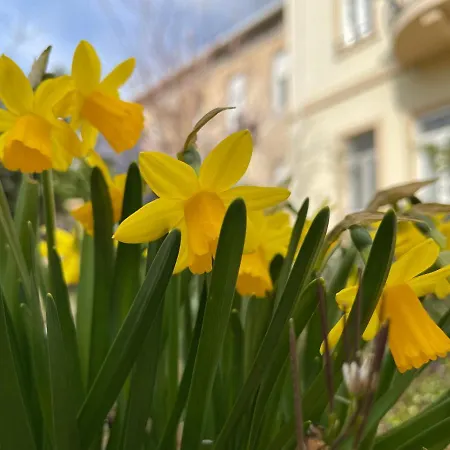 Aurelia Bed & Breakfast 3*