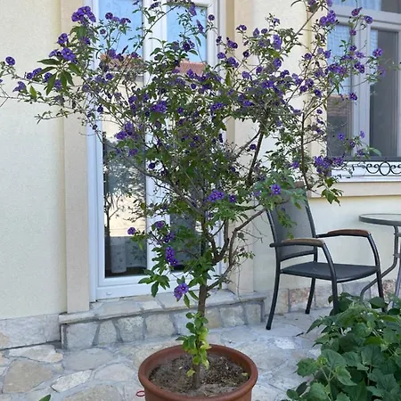 Aurelia Bed & Breakfast