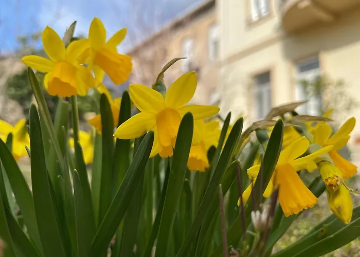 Aurelia Bed & Breakfast 3*