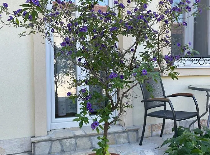 Aurelia Bed & Breakfast